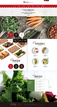 天津網站制作 奔唐網絡之綠色養(yǎng)生食品官網